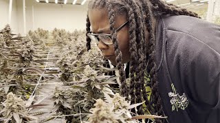 Mother Earth Vlog: Hemp Park Cannabis Co.