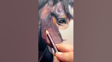 How to Create Rich and Realistic Fur | Tip from an Artist #bonnysnowdonacademy #artisttips #horseart