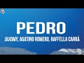 PEDRO - Jaxomy, Agatino Romero, Raffaella Carrà (TikTok Song)
