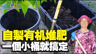 自製有机堆肥，一個小桶就搞定，就是这么简单！