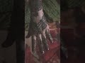 Elegant mehndi art ❤❤❤