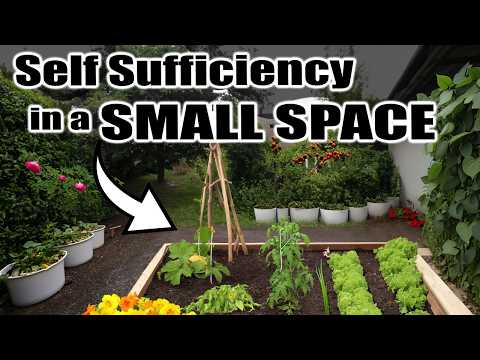 7 Tips for SELF SUFFICIENCY in a SMALL SPACE