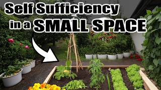 7 Tips for SELF SUFFICIENCY in a SMALL SPACE by Next Level Gardening 46,967 views 3 weeks ago 7 minutes, 22 seconds