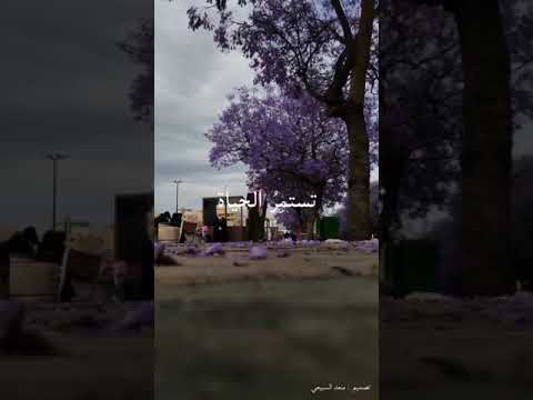 تستمر الحياه