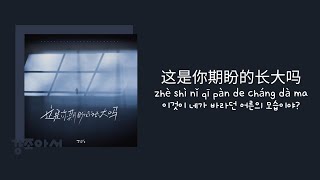 张齐山 ZQS 장제산 - 这是你期盼的长大吗 이것이 네가 바라던 어른의 모습이야? | 많이 실망했지.. 많이 힘들지.. 🌫 [중국노래/가사/병음/발음/번역]