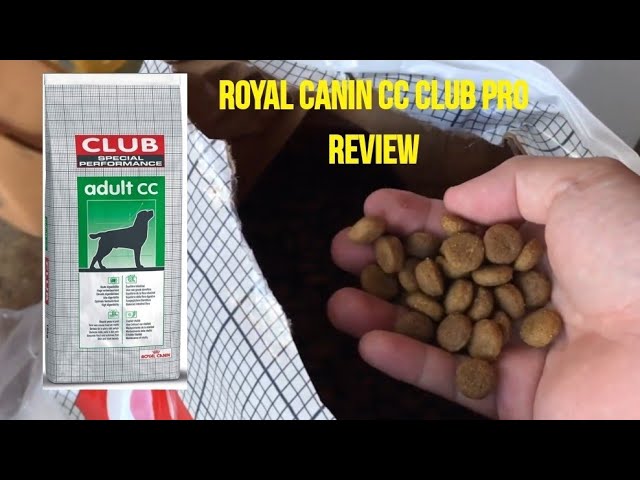 ROYAL CANIN CC CLUB PRO DOGFOOD REVIEW - YouTube