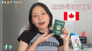 CHUẨN BỊ GÌ KHI ĐI DU HỌC? DU HỌC CANADA 🇨🇦