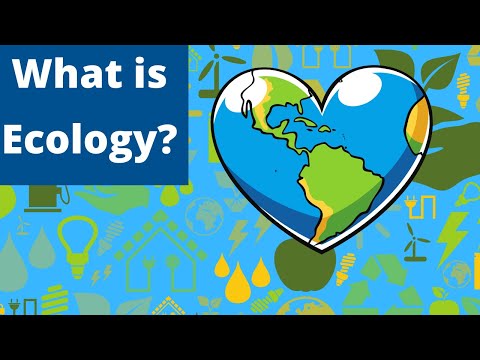 Video: Ano Ang Geoecology