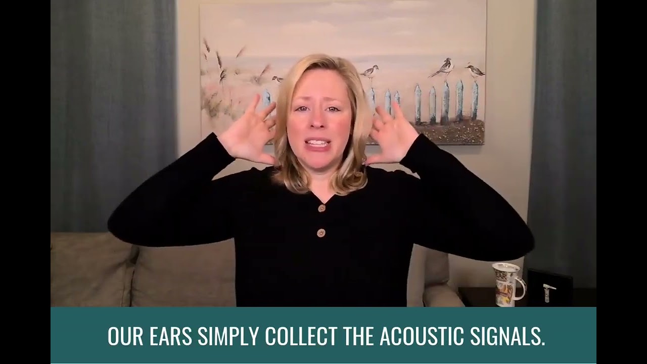 The Science of Hearing: How Our Ears and Brain Work Together