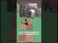 Throwback to April fools #rant #roblox #shorts