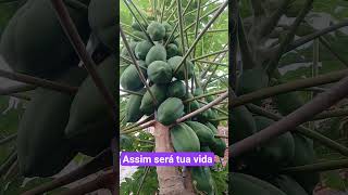 #caminhoparaumavidamelhor milagre do criador