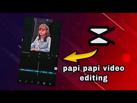 Papi Papi Trend Tutorial | WEB HUNT X2 |