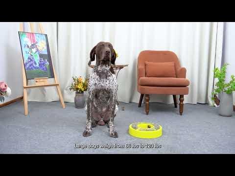 Outward Hound, Nina Ottosson Hide n' Slide Interactive Puzzle Game Toy –  DogToyStuffz