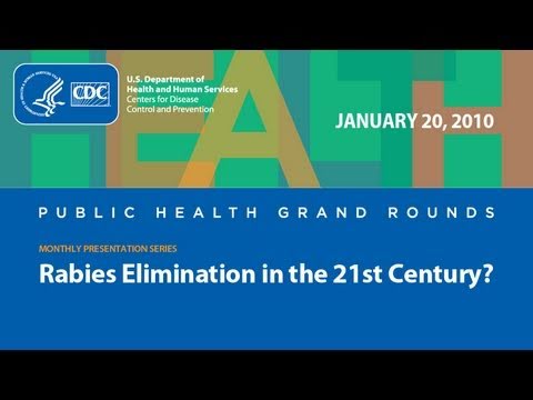 Rabies Elimination in the 21st Century