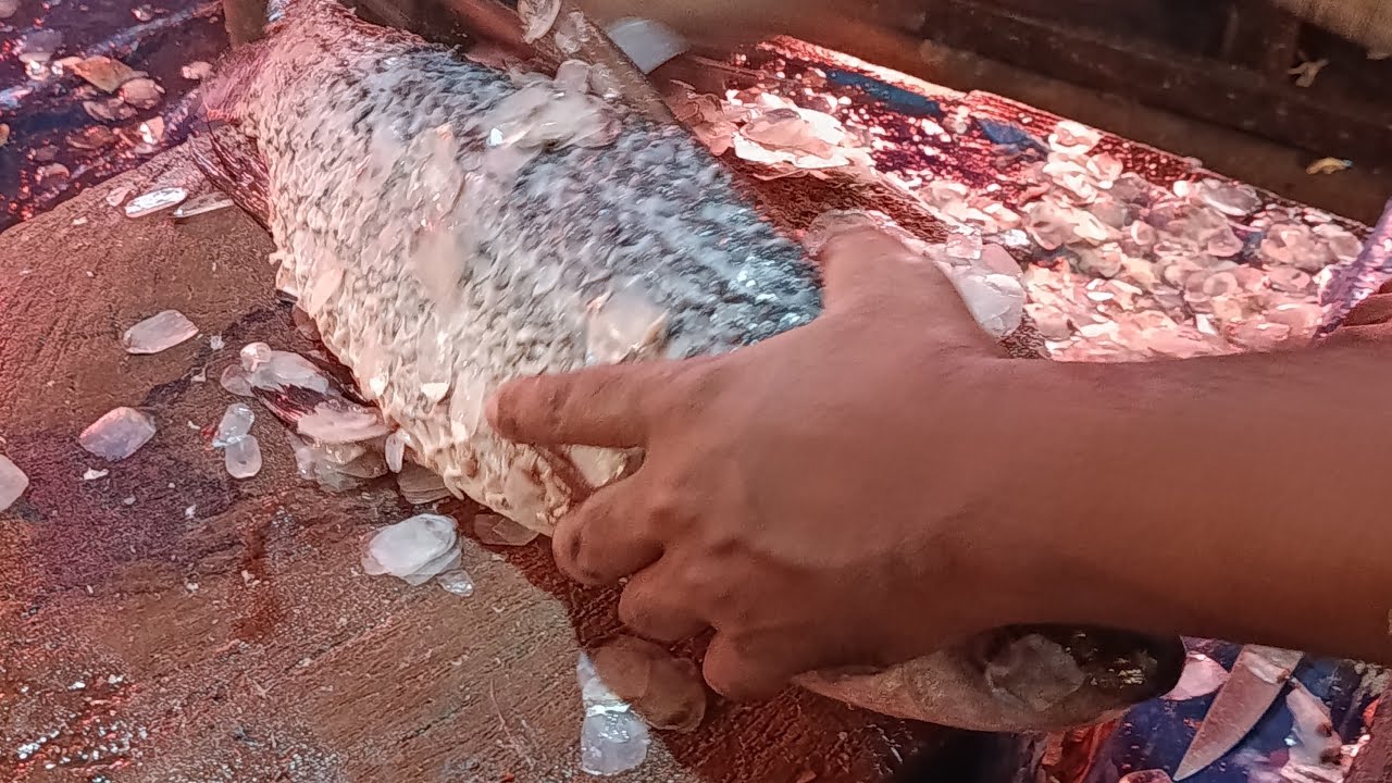 Uzzal Fish Cutting is live!Various types of fish cutting skil🐠🐟🐠🐟 - YouTube