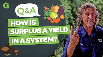 Yields, Surpluses, Overabundance, and Resource Consumption within a System