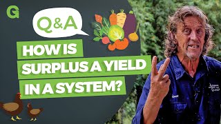 Yields, Surpluses, Overabundance, and Resource Consumption within a System