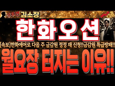 [한화오션 주가전망]한화에어로 다음 주 <strong>금감원</strong> 정정 재 신청!!금감원에서 반려로 대응한다면 판이 뒤집힙니다!!꼭 시청하시고 월요장 프리마켓 대응하세요!! #한화오션전망