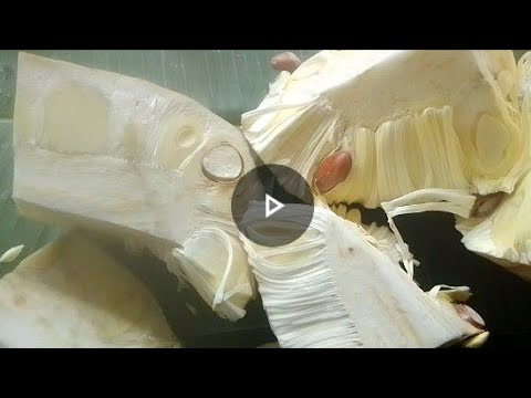 New video upload Tebrong cha,a