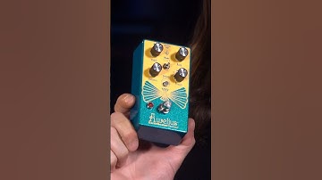 Aurelius Video Manual out now!! #chorus #earthquakerdevices