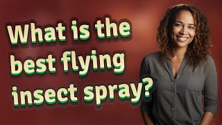 What is the best flying insect spray