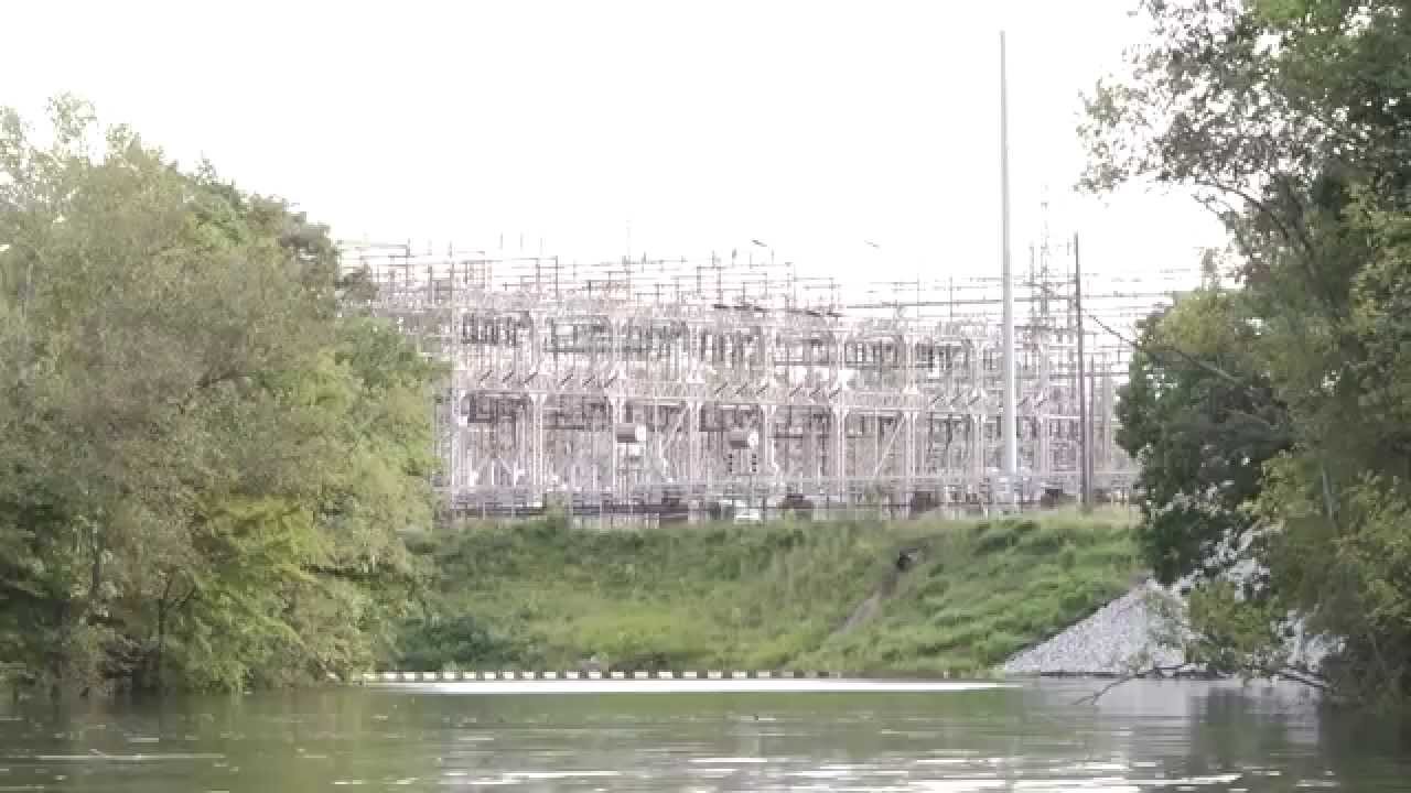 Campaign - Stop Biomass