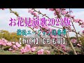 恒例!お花見演歌2023版♪きよしのズンドコ節♪替え歌あり【もも組】
