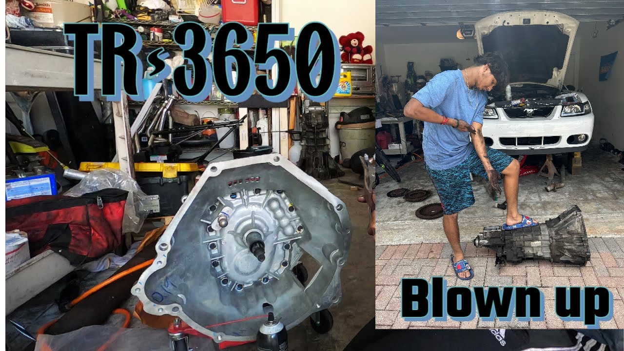 Replacing my Blown up Transmission in my Mustang! pt1 YouTube