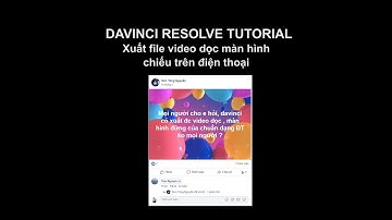 Xuất video màn hình dọc chuẩn điện thoại trong Davinci Resolve