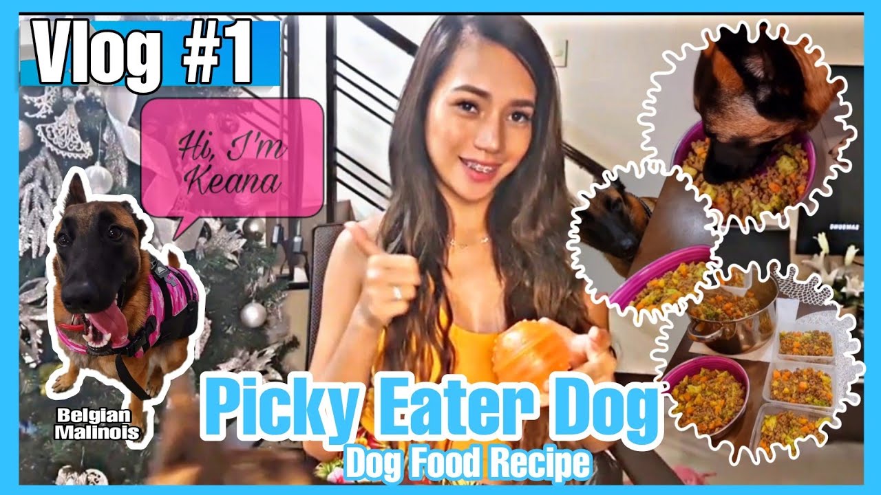 SV Matahom Episode 1 -  Picky Eater Dog (Keana's Food)