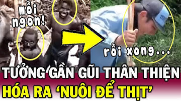 THỬ THÁCH 7 ngày sống cùng bộ tộc ĂN THỊT NGƯỜI, vlogger suýt thành VẬT TẾ SỐNG | Tin Việt Độc Lạ