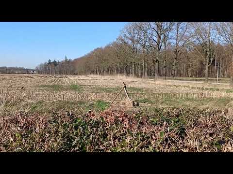 De Bosrand Steenbrugge Deventer : de impressie voor de ontwikkeling