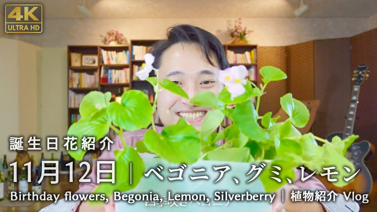 初企画 11月12日の誕生日花 ベゴニア グミ レモン Birthday Flowers Begonia Lemon Silverberry Youtube
