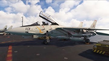 Heatblur/IFE F-14 Tomcat • Quick walkaround and cold start (MSFS2020)