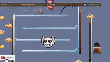 Lin Hub #1 | TRANSFORMICE 2022