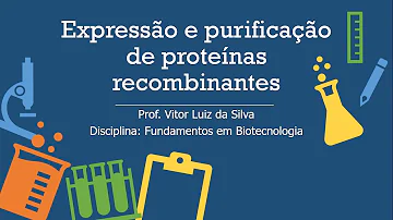 Quais as etapas para produção de uma proteína recombinante em bactéria?