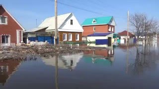 Наводнение в Ишиме  дома ушли под воду