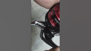 Shimano sienna độ tiếng gạt cước nha. độ lò xo bật