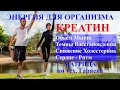 Креатин для Энергии Организма🔥Матрица Гаряева💠Creatine for the Energy of the Body🔥Garyaev&#39;s Matrix