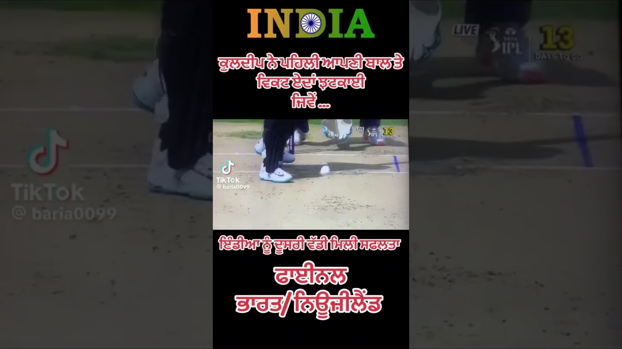 India match wins 2025