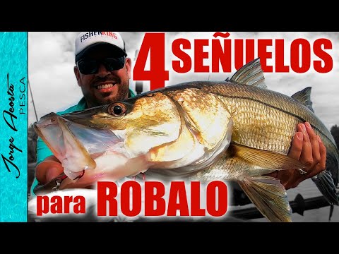 4 Señuelos para