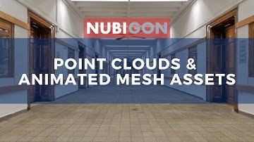 Point Clouds & Animated Mesh Assets