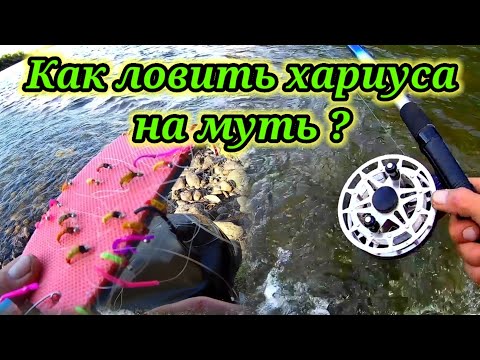 Как ловить хариуса на муть ?👆Рыбачу и объясняю.