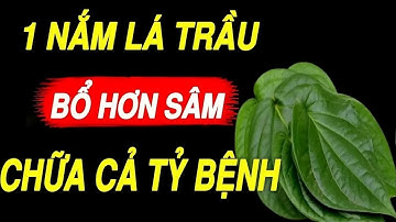Nếu Biết Sớm dùng LÁ TRẦU Kiểu Này CỰC TỐT CHO SỨC KHỎE, Giúp Khí Huyết Lưu Thông Sống Khỏe Rất Mạnh