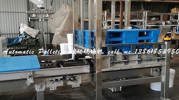 Automatic Pail Palletizer