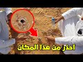 اغرب انواع العناكب سبحان الله شوفو كيف تصميم بيتها اغرب انواع العناكب سبحان الله شوفو كيف تصميم بيتها