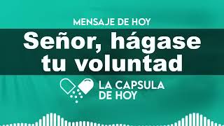 Señor, Hagase Tu Voluntad - La Cápsula De Hoy