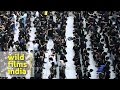 17th Ramzan Hazrat Ayesha Wafat Ka WaqiaLife And Death Story Of Amma AyeshaIslamic Video