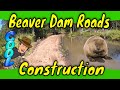 Beaver Pond Dam walls Construction Update  August 5th 2020