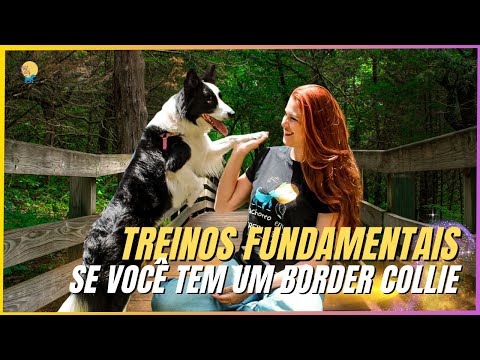 Vídeo: 7 coisas que aprendi sobre como iniciar um santuário de animais